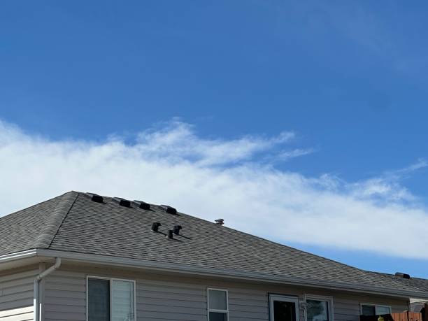 Best Green or Eco-Friendly Roofing Solutions  in Fort Bliss, TX