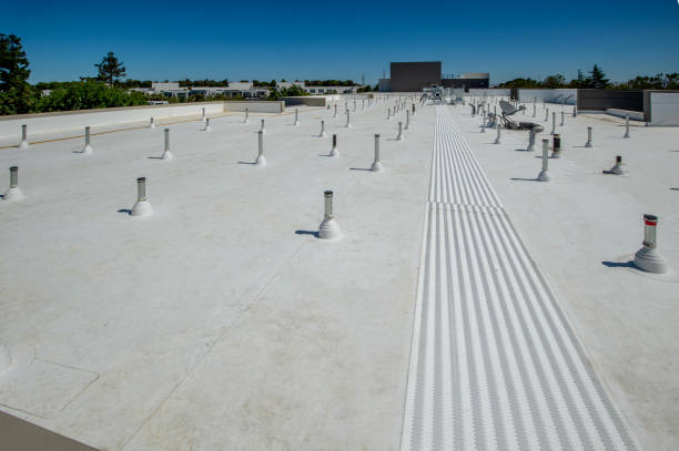 Best Commercial Roofing Services  in Fort Bliss, TX